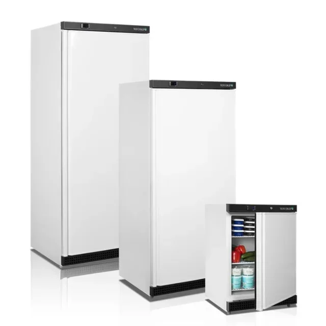 Armoire Congélateur Professionnel GN 2/1 - Finition Blanc - 555 Litres