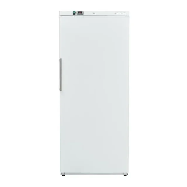 600 Liter Umluft-Kühlschrank mit ABS-Innenausstattung - Generalüberholt