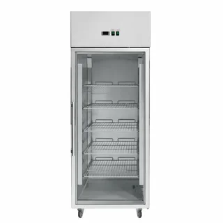 Vetrina Refrigerata Verticale 650 Litri - Porta in Vetro
