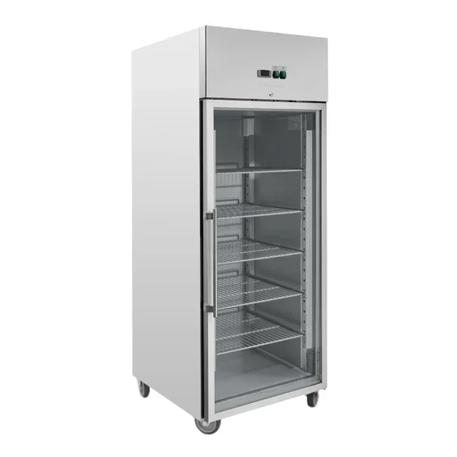 Vetrina Refrigerata Verticale 650 Litri - Porta in Vetro