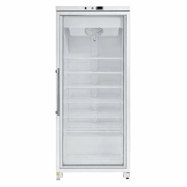 600L Glass Door Freezer - Professional Fan-Assisted Upright Cabinet