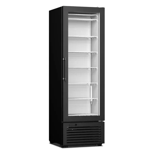 Positive Display Cabinet 1 Door - Capacity 301 Liters