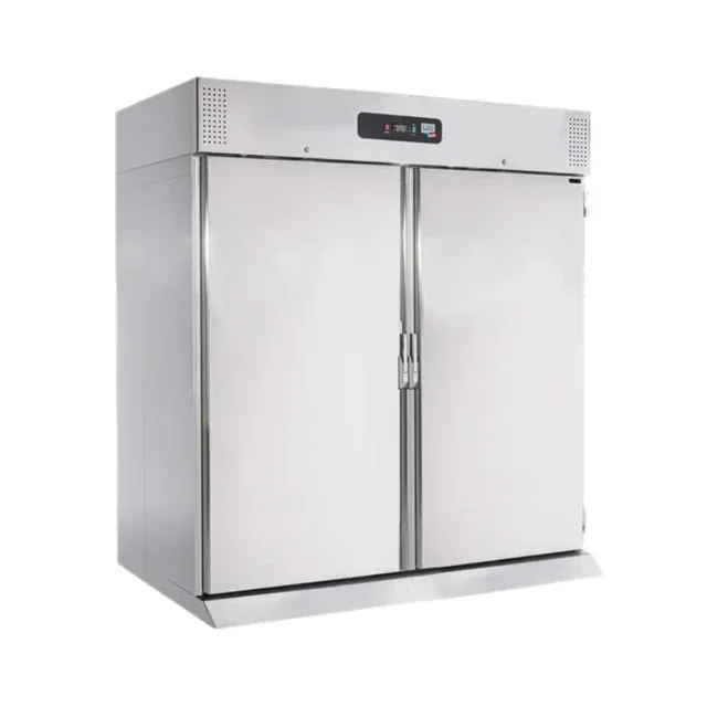 Armoire Réfrigérée Professionnelle Inox GN 2/1 pour Échelles