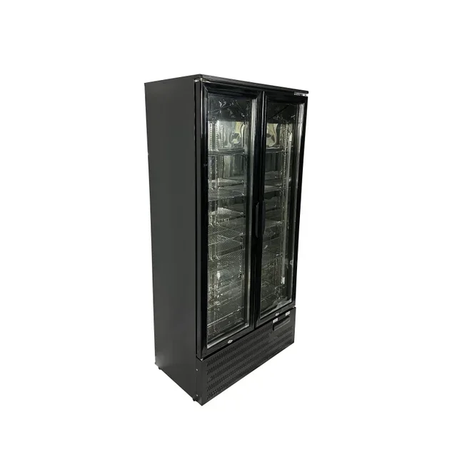 Rückwandkühlschrank 2 Glastüren 458 Liter - Positivkühlung