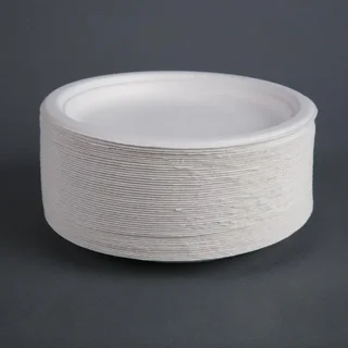 Umweltfreundliche Teller aus Zuckerrohrbagasse Ø18 cm - 50 Stück