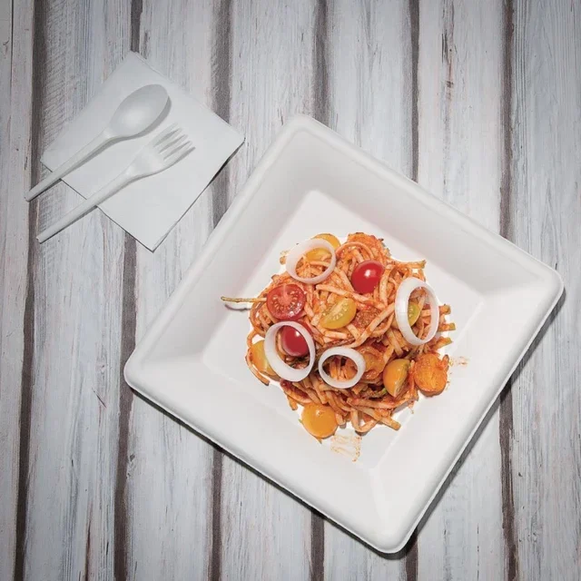 Platos Cuadrados de Bagazo de Caña de Azúcar 26 cm - 50 Piezas - Vajilla Desechable Ecológica y Biodegradable