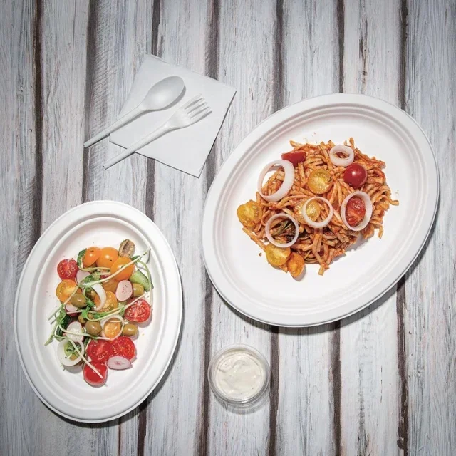 Ovale umweltfreundliche Teller aus Zuckerrohrbagasse 316 mm - 50er Pack