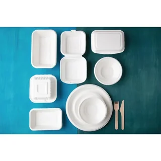 Eco-Friendly Disposable Plates 26 cm - Pack of 50 Biodegradable Bagasse