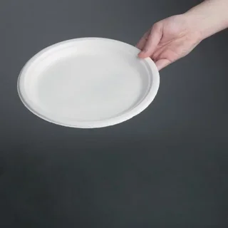 Eco-Friendly Disposable Plates 26 cm - Pack of 50 Biodegradable Bagasse