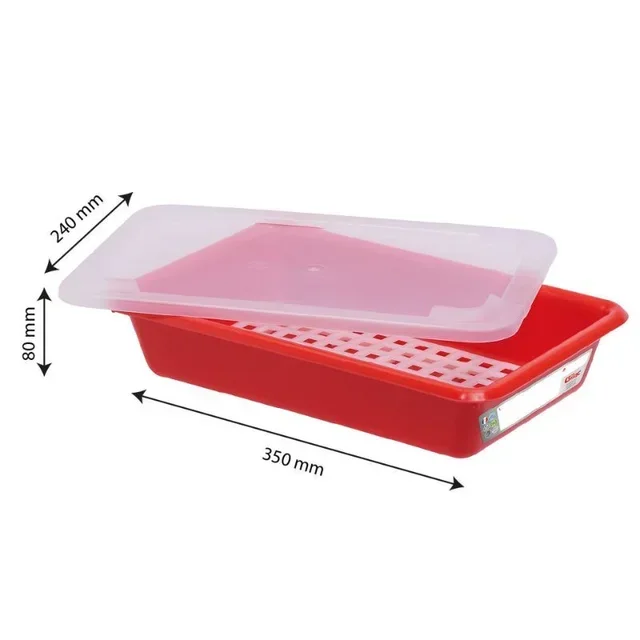 Gastronorm Container 3 Liters with Lid and Rack - HACCP Compliant - Red