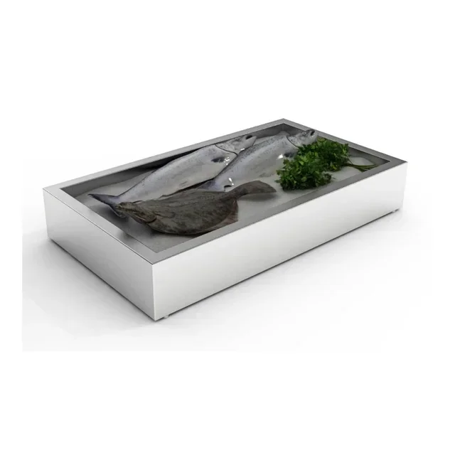 Built-in Crushed Ice Bin - Gastronorm 3/1 Format