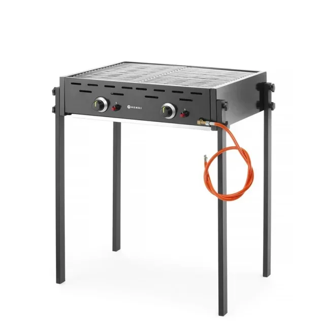 Gas Barbecue 2 Burners Outdoor Grill