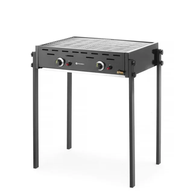 Gas Barbecue 2 Burners Outdoor Grill