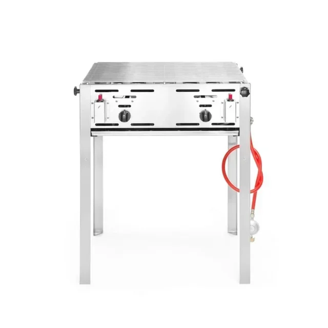 Pro Roast-Master Heavy Duty Professional Gas BBQ