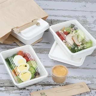 Barquettes Jetables en Bagasse de Canne à Sucre 650ml - Lot de 100 - Biodégradables et Compostables