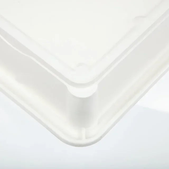 Square Pizza Dough Mold