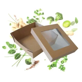 Transparent Meal Box 160x160 - Eco-Friendly - Pack of 25