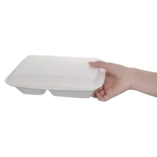 Boîtes 2 Compartiments Bagasse avec Couvercle à Charnière 253 mm - Lot de 200 - Biodégradables