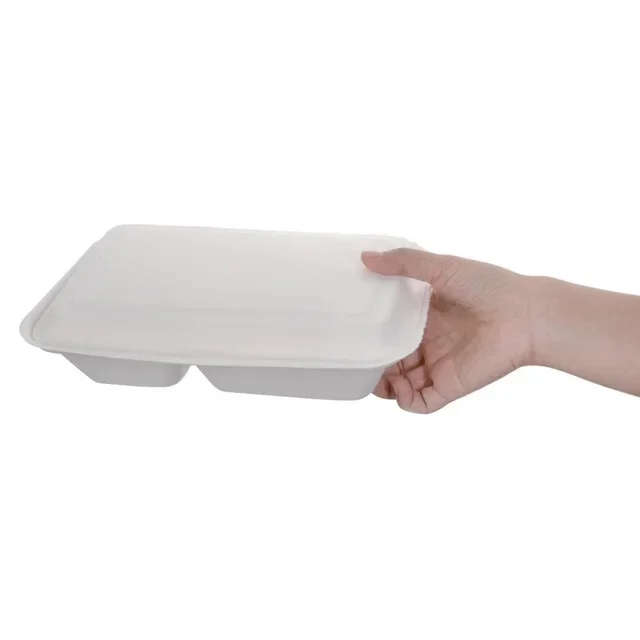 Boîtes 2 Compartiments Bagasse avec Couvercle à Charnière 253 mm - Lot de 200 - Biodégradables
