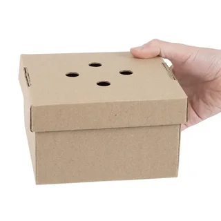 Boîtes à Burger Carrées Pliantes - Lot de 100