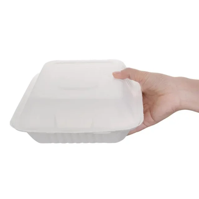 Boîtes à Charnière Compostables en Bagasse 223 mm - Pack de 200 avec Couvercle Intégré