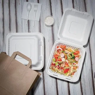 Boîtes à Charnière Compostables en Bagasse 223 mm - Pack de 200 avec Couvercle Intégré