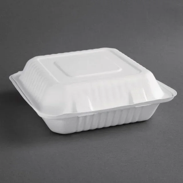 Boîtes Compostables Bagasse 236 mm avec Couvercle à Charnière - Pack de 200 unités