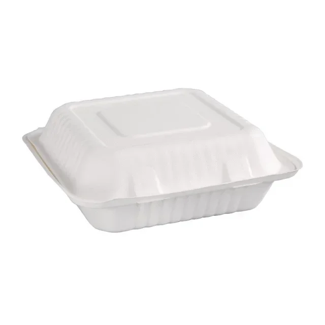 Boîtes Compostables Bagasse 236 mm avec Couvercle à Charnière - Pack de 200 unités