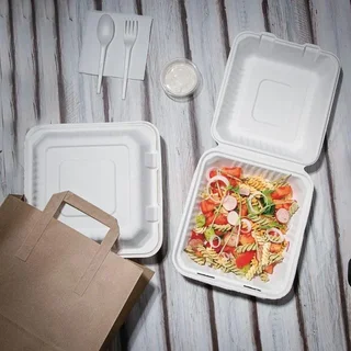 Scharnier-Boxen aus kompostierbarem Bagasse 236 mm - Packung 200 Stück