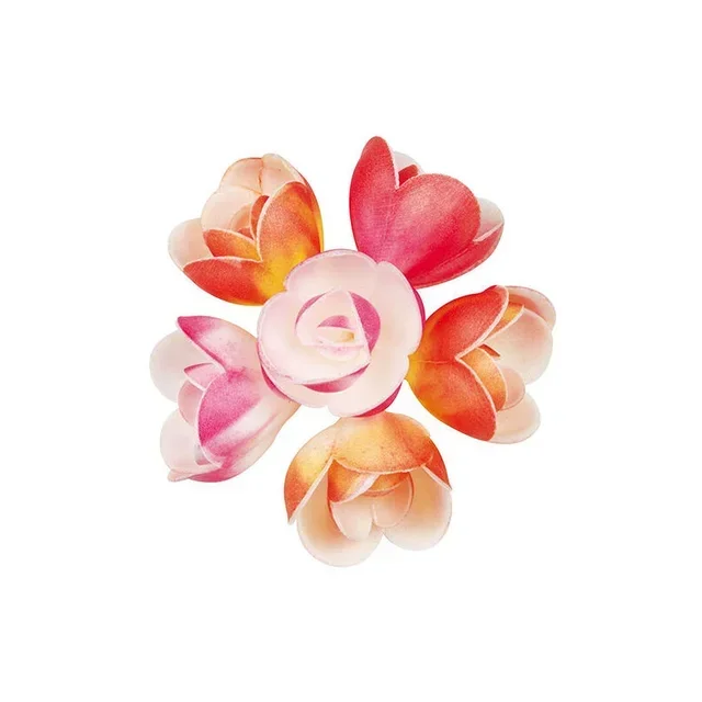 Collection Mixte Fleurs Tons Pastel - 72 Pièces