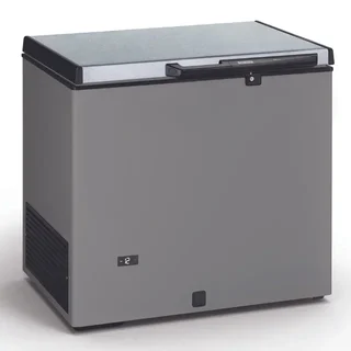 Congélateur Coffre 220 L - Finition Inox avec Couvercle Métallique