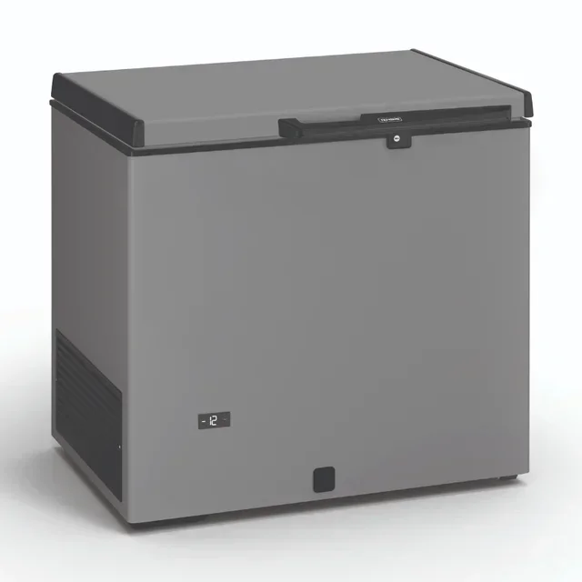Congélateur Coffre Pro Façade Inox - Capacité 220 Litres