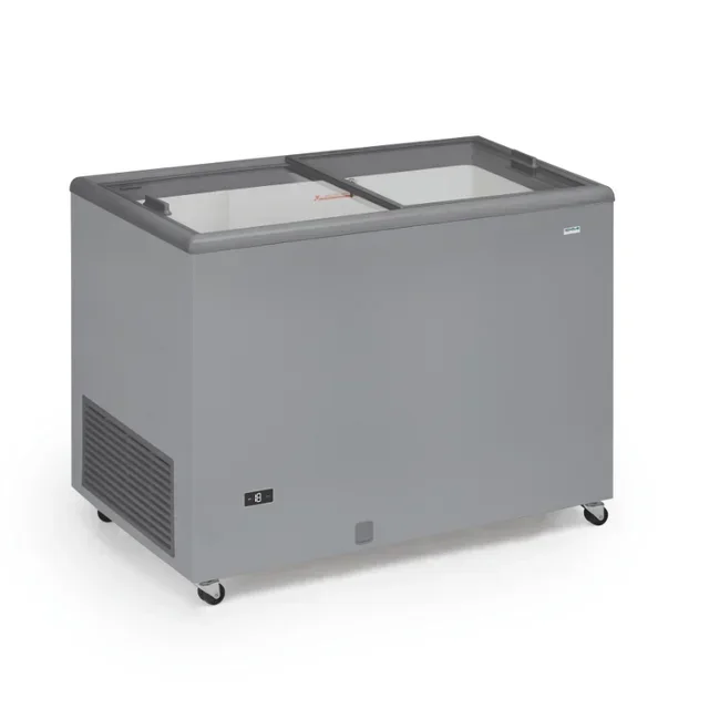 Double Glass Sliding Door Freezer 300 Litres