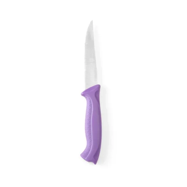 Cuchillo Universal Mango Violeta Acero Inoxidable - Hoja 10 cm Cocina Polivalente