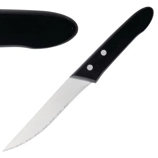 Couteau Steak Professionnel - Lame 25 cm - Set de 12 Pièces