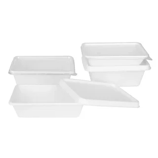 Couvercles Transparent PET Compatibles Barquettes Bagasse - Lot 100 Pièces Recyclables