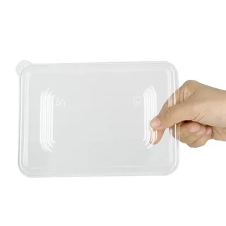 Couvercles Transparent PET Compatibles Barquettes Bagasse - Lot 100 Pièces Recyclables