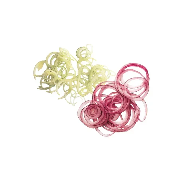 Fine Slicing Disc 1 mm Blade