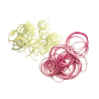 Slicing Disc Fine - 1 mm Thickness