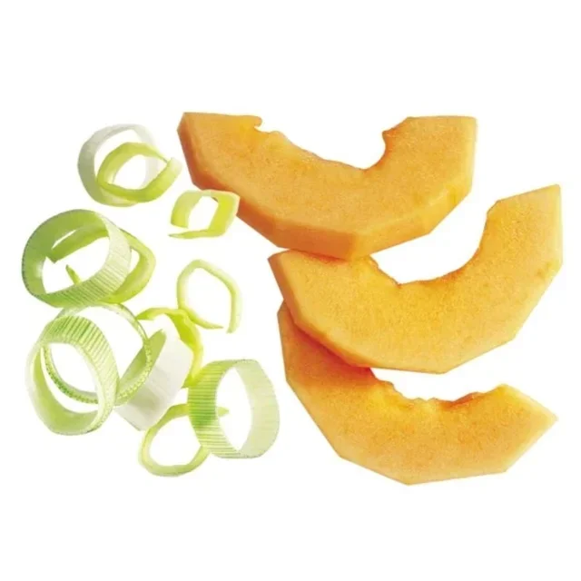 Slicing Disc Vegetable Cutter Blade 10 mm