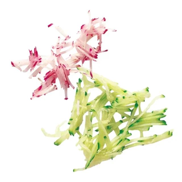 Disco Julienne 2x2mm per Bastoncini