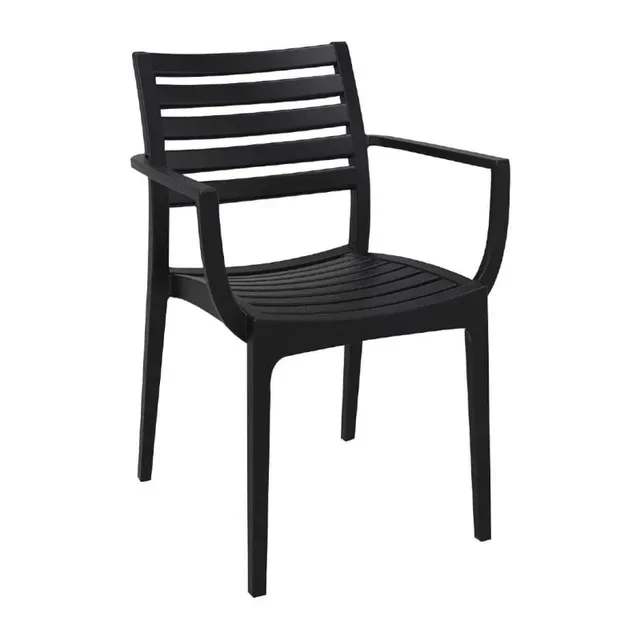 Set of 2 Artemis Armchairs in Black Color