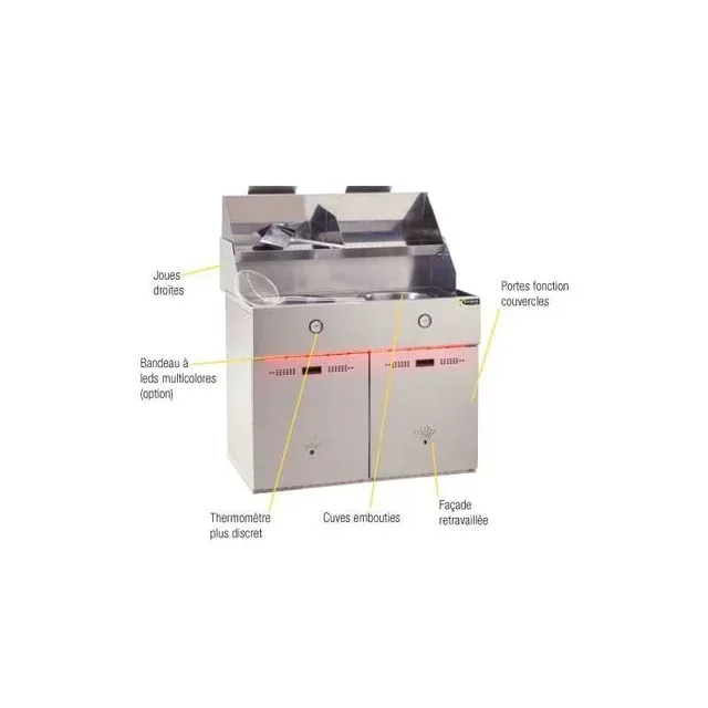 Professional Double Tank Gas Fryer