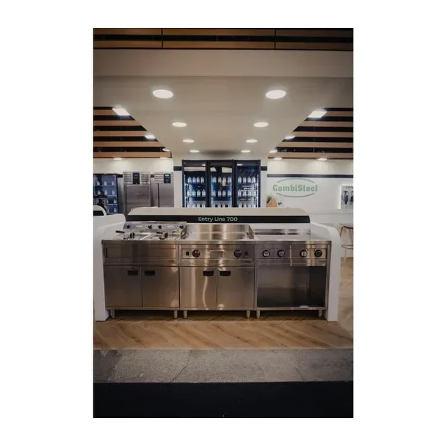 Professional Electric Deep Fryer with Stand - Double Tank 12 Liters