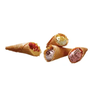 Piastra per Coni in Acciaio Inox - Potenza 1000 Watt