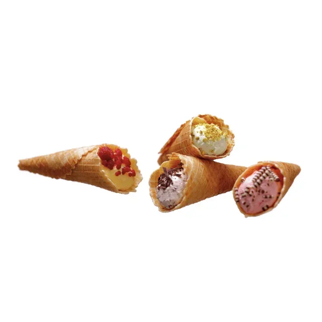 Piastra per Coni in Acciaio Inox - Potenza 1000 Watt