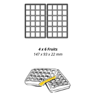 Professional Dual Waffle Maker 4x6 Round with 180° Flat Opening