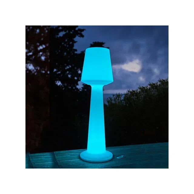 LED Cordless Floor Lamp Austral 110 cm - Portable Multicolor Lighting