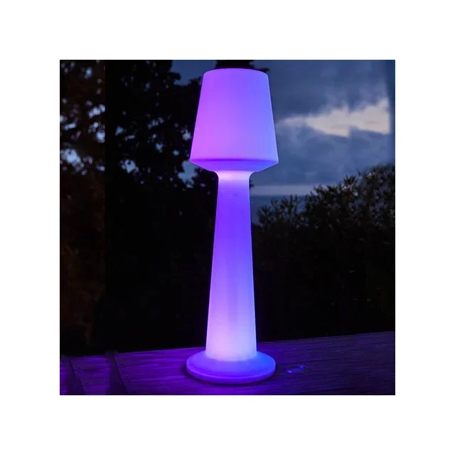 LED Cordless Floor Lamp Austral 110 cm - Portable Multicolor Lighting