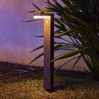 Solar-Etikett Cenova Tall 50